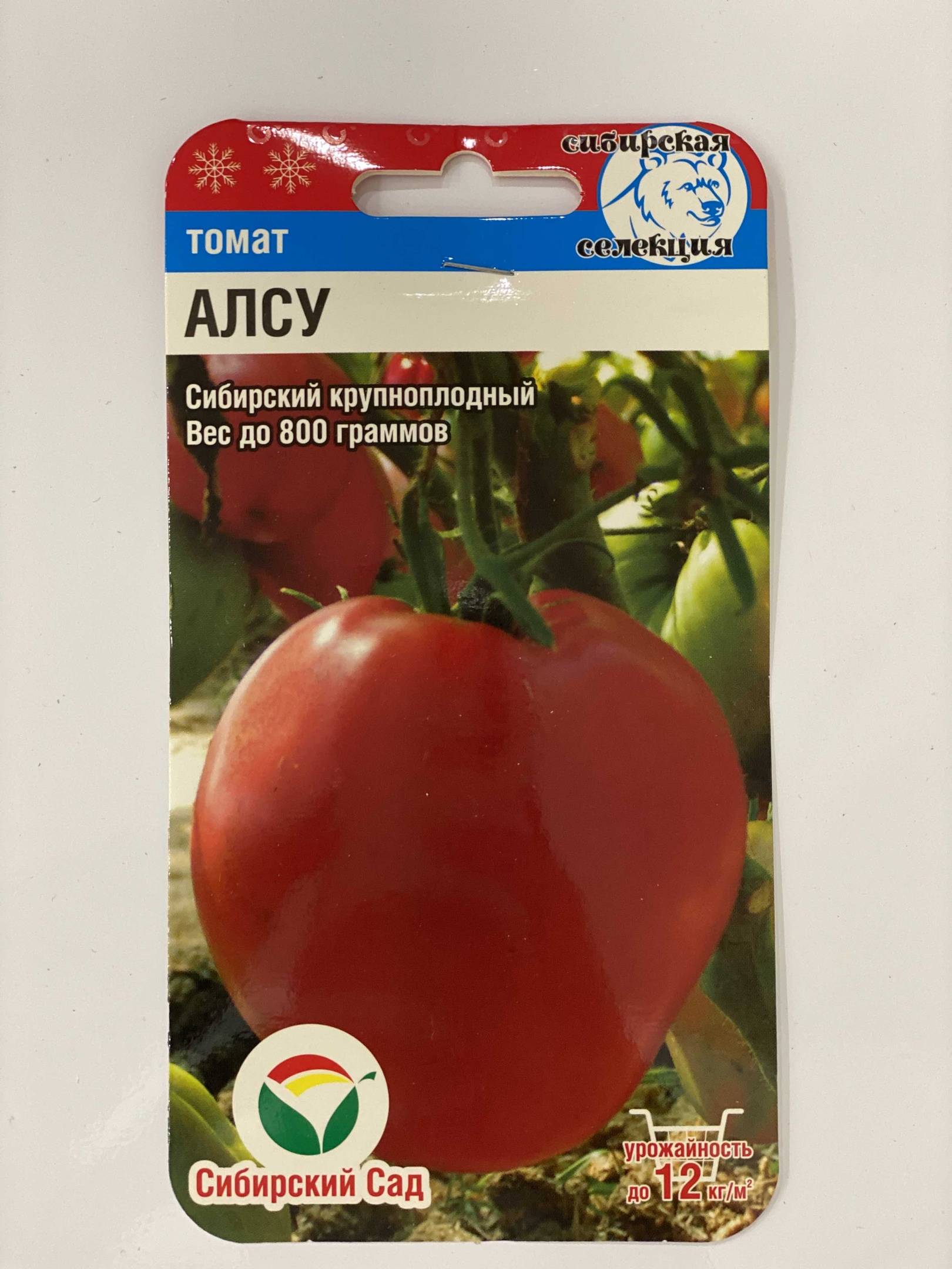 томат семена алсу