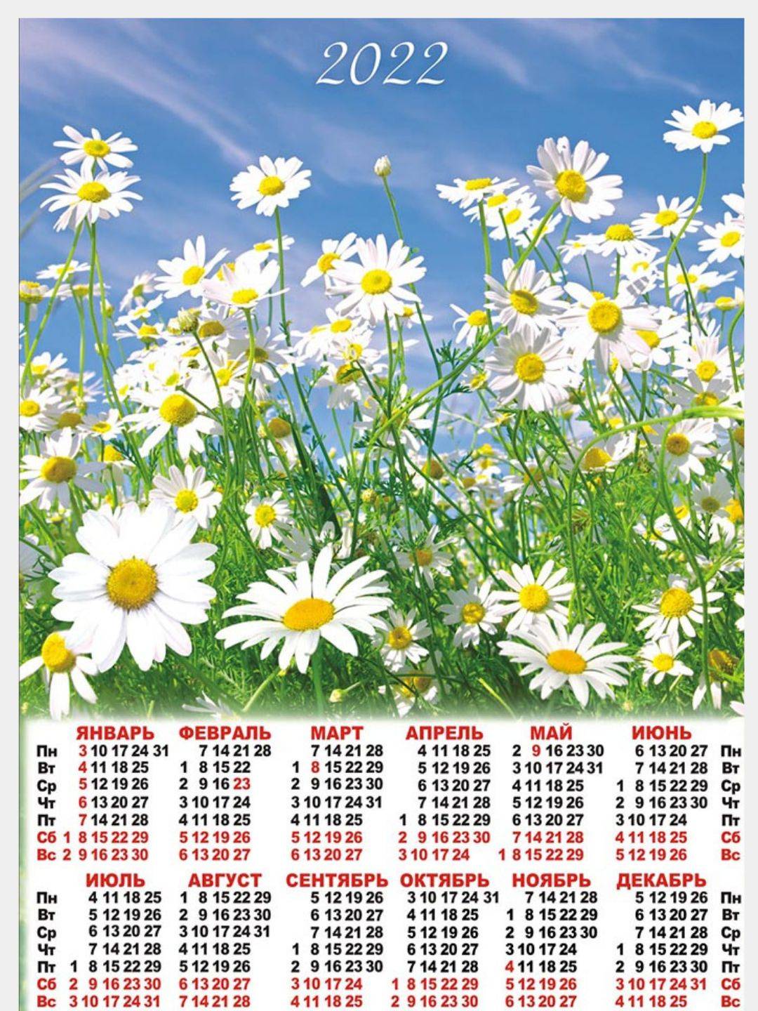Календарь открытка 2024. Календарь настенный. Красивый календарь. Календарь листовой настенный. Календарик с цветами.
