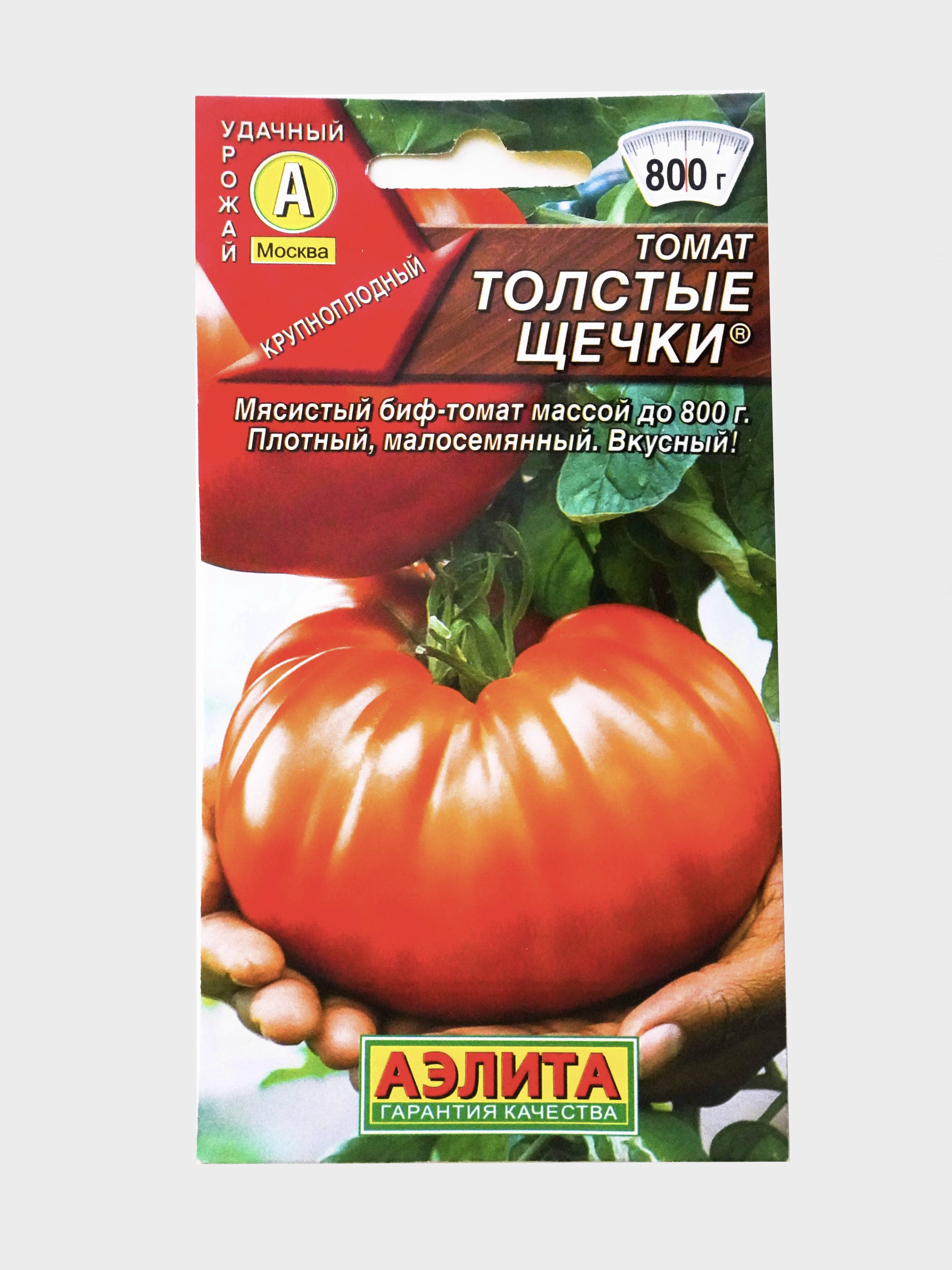 Толстой семена томат. Томат толстый Боцман.